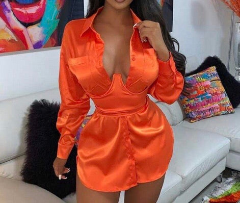 Trending Long Sleeve Blouse Dress